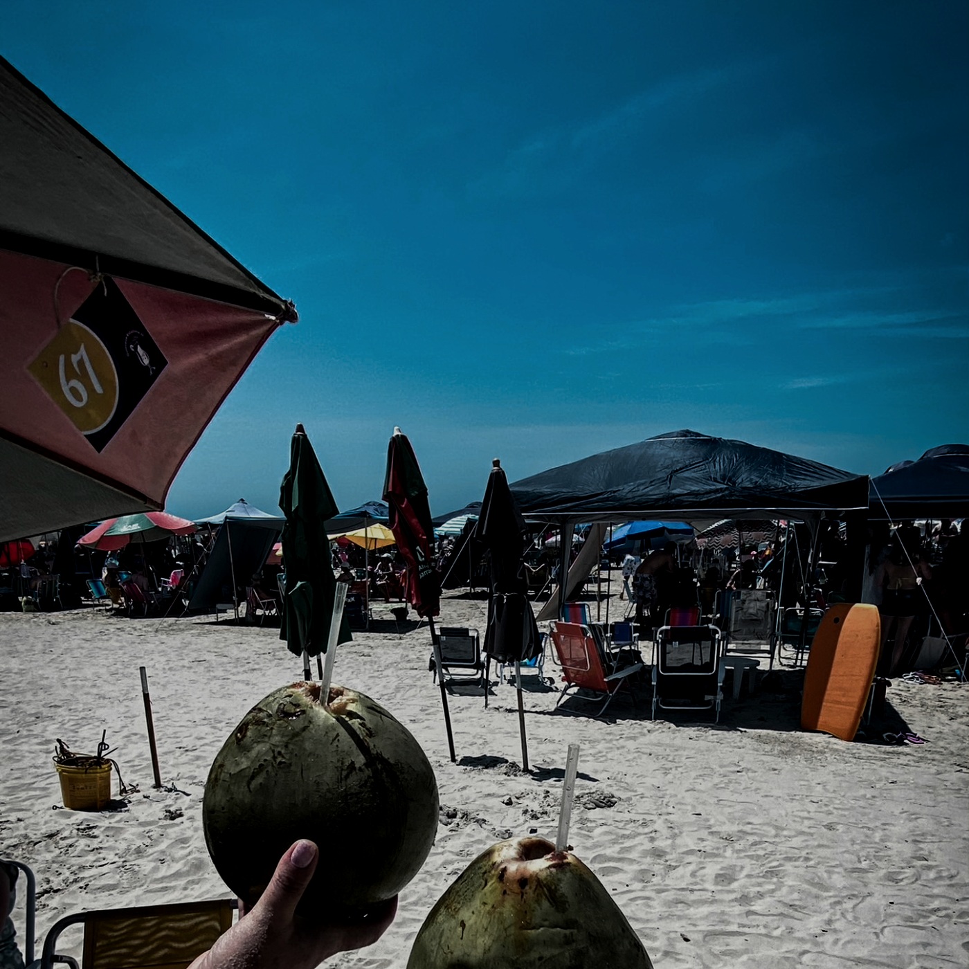 Cocos na praia em um dia ensolarado