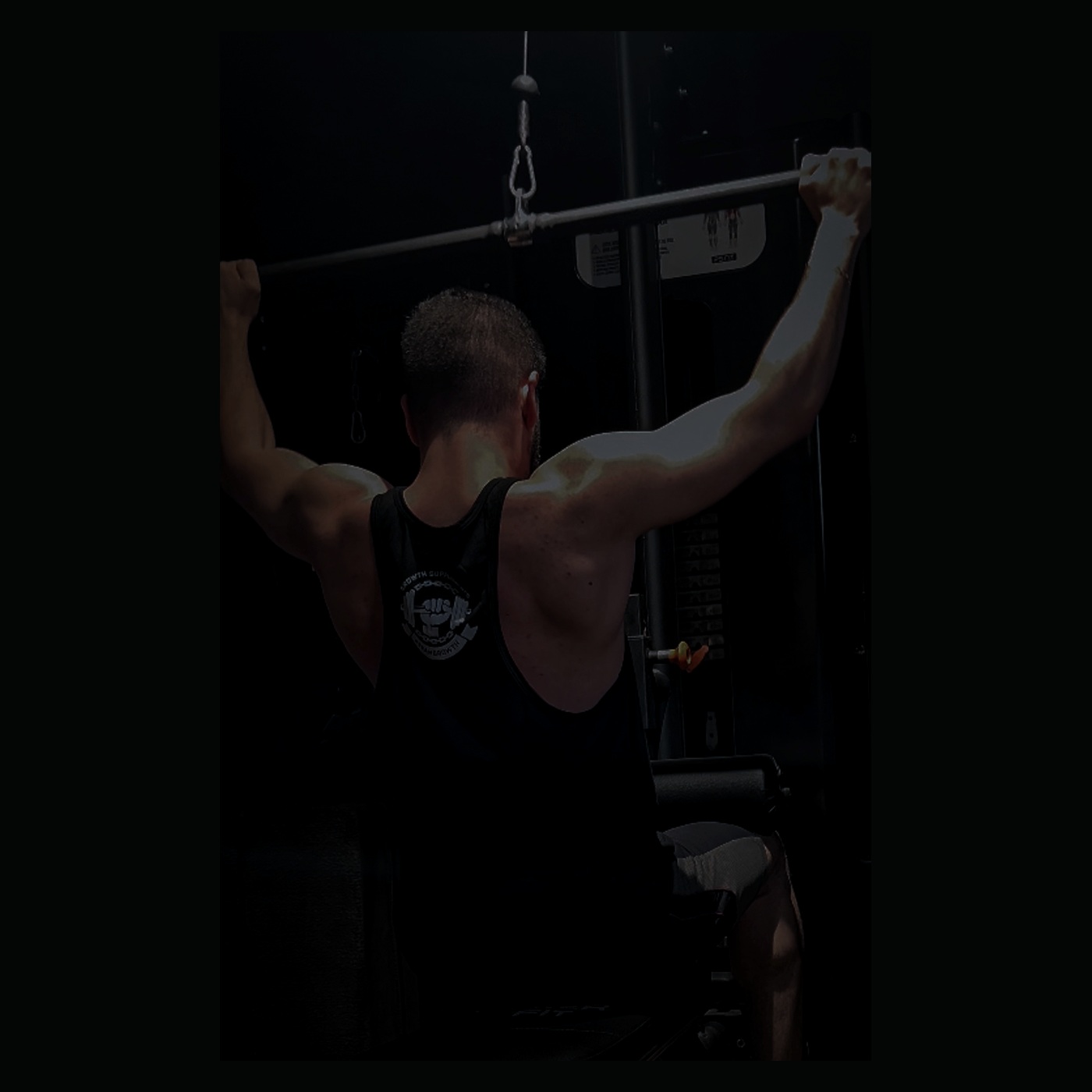Treino de costas na academia